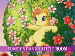 Size: 1024x768 | Tagged: safe, derpibooru import, zipzee, breezie, g3, the princess promenade, animation error, friendship and flowers