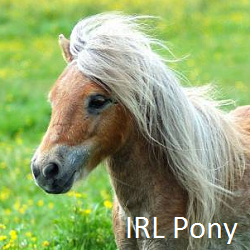 Size: 250x250 | Tagged: safe, pony, barely pony related, irl, photo, spoilered image joke