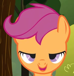 Size: 823x842 | Tagged: safe, screencap, scootaloo, pegasus, female, filly, orange coat, purple mane, solo