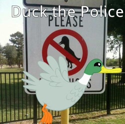 Size: 500x494 | Tagged: safe, derpibooru import, bird, duck, mallard, flying, fuck the police, grass, irl, male, op, op is a criminal, sign, solo, tree