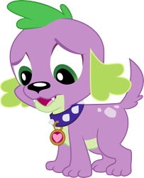 Size: 6000x7391 | Tagged: safe, artist:lunabubble-ede96, derpibooru import, spike, dog, equestria girls, absurd resolution, simple background, solo, spike the dog, transparent background, vector