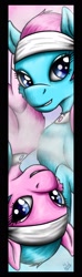 Size: 750x2550 | Tagged: safe, artist:spiritofthwwolf, derpibooru import, aloe, lotus blossom, bookmark, spa twins