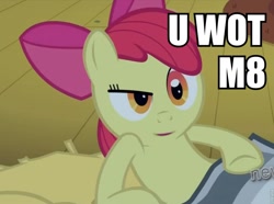 Size: 960x713 | Tagged: safe, derpibooru import, apple bloom, image macro, inverted mouth, solo, u wot m8