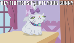 Size: 759x450 | Tagged: safe, opalescence, cat, female, hair bow, image macro