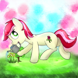 Size: 1000x1000 | Tagged: safe, artist:cheshiresdesires, roseluck, earth pony, pony, female, flower, looking up, mare, solo, watering can