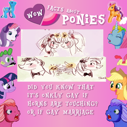 Size: 640x640 | Tagged: safe, derpibooru import, facts, gay, male, marriage, parody