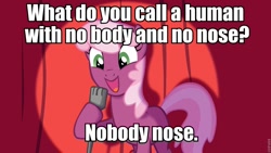 Size: 960x540 | Tagged: safe, cheerilee, earth pony, pony, cheerilee pun, curtain, exploitable meme, female, green eyes, implied human, mare, meme, microphone, open mouth, pun, smiling, solo, spotlight, text, two toned mane, two toned tail