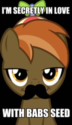 Size: 347x600 | Tagged: safe, derpibooru import, babs seed, button mash, button 'stache, buttonseed, female, image macro, love, male, meme, moustache, shipping, solo, straight