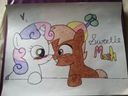 Size: 1024x765 | Tagged: safe, artist:kyle-fan1166, derpibooru import, button mash, sweetie belle, blushing, female, male, shipping, straight, sweetiemash, toy ship, traditional art