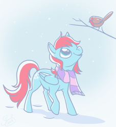 Size: 600x660 | Tagged: safe, artist:shelzie, oc, oc only, bird, pegasus, pony, clothes, robin, scarf, snow, snowfall