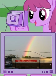 Size: 511x700 | Tagged: safe, berry punch, berryshine, beer, exploitable meme, rainbow, store, tv meme