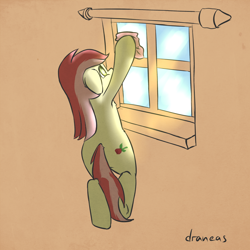 Size: 1000x1000 | Tagged: safe, artist:draneas, roseluck, 30 minute art challenge, cleaning, solo, window