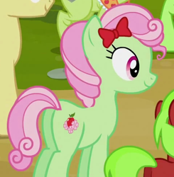 Size: 479x489 | Tagged: safe, screencap, auntie applesauce, florina tart, granny smith, red june, earth pony, pony, apple family reunion, apple family member, background pony, bow, cropped, female, hair bow, mare, plot, solo focus