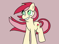 Size: 800x600 | Tagged: artist needed, safe, roseluck, earth pony, pony, 30 minute art challenge, cutie mark, female, mare, solo, two toned mane