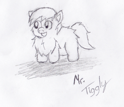 Size: 736x632 | Tagged: safe, artist:mr tiggly the wiggly walnut, derpibooru import, fluffy pony, fluffy pony original art, monochrome, sketch, solo, traditional art