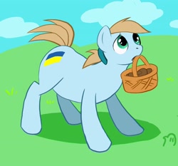 Size: 2460x2296 | Tagged: safe, artist:vampirechicken, derpibooru import, nation ponies, solo, ukraine