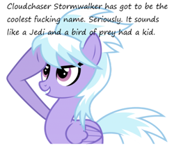 Size: 500x432 | Tagged: safe, derpibooru import, cloudchaser, awesome mccoolname, insane pony thread, solo, vulgar