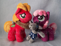 Size: 600x451 | Tagged: safe, artist:sequinjar, big macintosh, cheerilee, smarty pants, earth pony, pony, hearts and hooves day (episode), cheeribetes, cheerimac, colt, cute, filly, hearts and hooves day, irl, macabetes, male, photo, plushie, shipping, stallion, straight