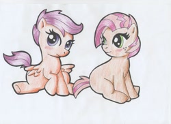 Size: 3510x2550 | Tagged: safe, artist:warumono1989, derpibooru import, babs seed, scootaloo, blushing, traditional art