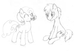 Size: 800x553 | Tagged: safe, artist:blazang, daisy, flower wishes, goldengrape, sir colton vines iii, earth pony, pony, daisygrape, female, male, mare, shipping, stallion, straight, traditional art