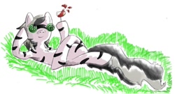Size: 1276x688 | Tagged: artist needed, safe, derpibooru import, oc, oc only, zebra, drink, goggles, solo