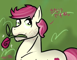 Size: 1109x865 | Tagged: safe, artist:just-random-ish, roseluck, earth pony, pony, 30 minute art challenge, male, rose, rule 63, solo, stallion