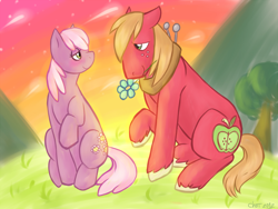 Size: 1000x750 | Tagged: safe, artist:rainbowbruises, derpibooru import, big macintosh, cheerilee, earth pony, pony, cheerimac, flower, flower in mouth, male, mouth hold, shipping, stallion, straight