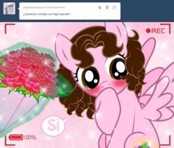 Size: 1236x1051 | Tagged: safe, artist:shinta-girl, derpibooru import, oc, oc only, oc:shinta pony, ask, bouquet, camera, camera shot, spanish, translated in the description, tumblr