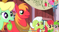 Size: 925x508 | Tagged: safe, screencap, apple bumpkin, apple honey, apple tarty, big macintosh, granny smith, red gala, earth pony, pony, the last roundup, elderly, female, male, mare, stallion, youtube caption