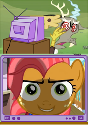 Size: 414x586 | Tagged: safe, babs seed, discord, draconequus, earth pony, pony, exploitable meme, male, tv meme