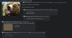 Size: 976x515 | Tagged: safe, derpibooru import, screencap, bear, 4chan, bear puns, bearly pony related, text, wat