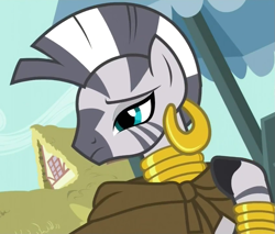 Size: 841x717 | Tagged: safe, screencap, zecora, zebra, reaction image, solo