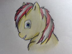 Size: 755x569 | Tagged: safe, artist:waggytail, derpibooru import, fluffy pony, avatar, fluffybooru, solo