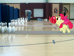 Size: 1600x1200 | Tagged: safe, artist:paris7500, apple bloom, human, basketball court, bowling, high school, mats, ponies in real life, vector