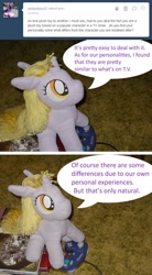 Size: 864x1564 | Tagged: safe, artist:eratosofcyrene, dinky hooves, ask, ask plush derpy, irl, photo, plushie