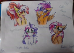 Size: 2560x1836 | Tagged: safe, artist:tenebristayga, derpibooru import, apple bloom, babs seed, scootaloo, sweetie belle, blushing, chest fluff, cutie mark crusaders, ear fluff, floppy ears, fluffy, traditional art