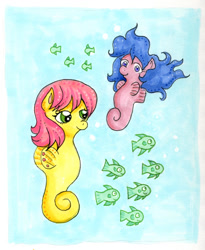 Size: 800x974 | Tagged: safe, artist:kaikaku, high tide, wavedancer, fish, sea pony, g1