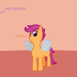 Size: 600x600 | Tagged: safe, scootaloo, changeling, pegasus, pony, disguised changeling, female, filly, wings