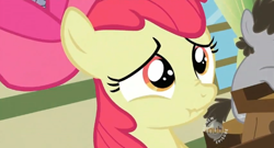 Size: 572x308 | Tagged: safe, screencap, apple bloom, truffle shuffle, bust, scrunchy face