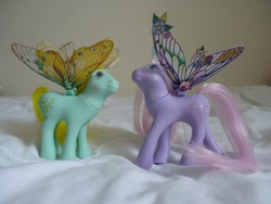 Size: 1024x768 | Tagged: safe, artist:thebluemaiden, forget me not, morning glory, flutter pony, custom, irl, photo, toy