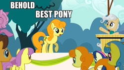 Size: 960x540 | Tagged: safe, derpibooru import, edit, edited screencap, screencap, caramel, carrot top, golden harvest, lemon hearts, mayor mare, parasol, the last roundup, behold, best pony, forced meme, glasses, meme