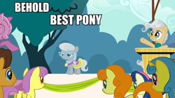 Size: 960x540 | Tagged: safe, derpibooru import, edit, edited screencap, screencap, bon bon, caramel, carrot top, golden harvest, lemon hearts, mayor mare, parasol, silver spoon, sweetie drops, the last roundup, behold, best pony, caption, forced meme, glasses, meme