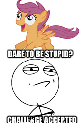 Size: 720x1080 | Tagged: safe, derpibooru import, scootaloo, challenge accepted, dare to be stupid, stupid, stupidity, weird al yankovic