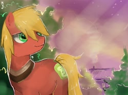 Size: 1280x945 | Tagged: safe, artist:fly-gray, big macintosh, earth pony, pony, male, solo, stallion