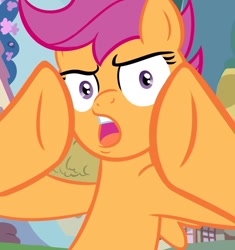 Size: 800x850 | Tagged: safe, artist:will, derpibooru import, scootaloo, ponified, reaction image, solo