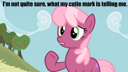 Size: 1366x768 | Tagged: safe, derpibooru import, edit, edited screencap, screencap, cheerilee, family appreciation day, animation error, image macro, meme, solo, wrong cutie mark