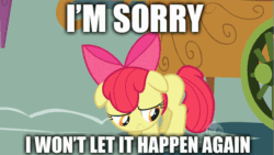 Size: 853x480 | Tagged: safe, apple bloom, earth pony, pony, animated, female, filly, floppy ears, image macro