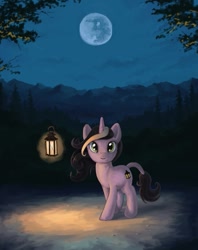 Size: 611x772 | Tagged: safe, artist:choedan-kal, derpibooru import, oc, oc only, glow, lantern, moon, night, solo