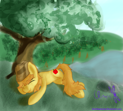 Size: 939x850 | Tagged: safe, artist:quinsapientae, derpibooru import, braeburn, sleeping, solo