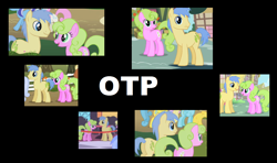 Size: 1260x748 | Tagged: safe, derpibooru import, edit, edited screencap, screencap, daisy, flower wishes, goldengrape, sir colton vines iii, daisygrape, exploitable meme, female, male, mare, otp, ponies standing next to each other, shipping, stallion, straight